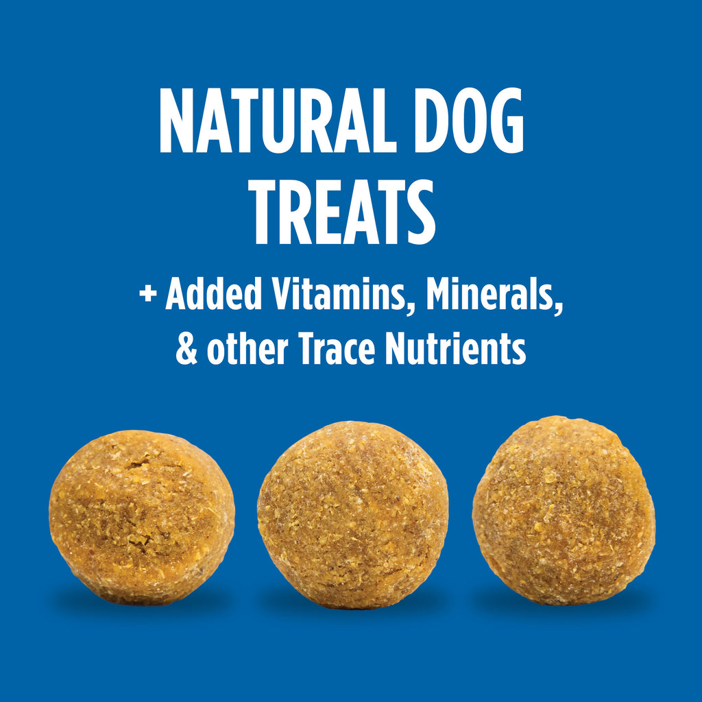 Chicken & Cheese Meatballs for Dogs | 10 oz | Evolve