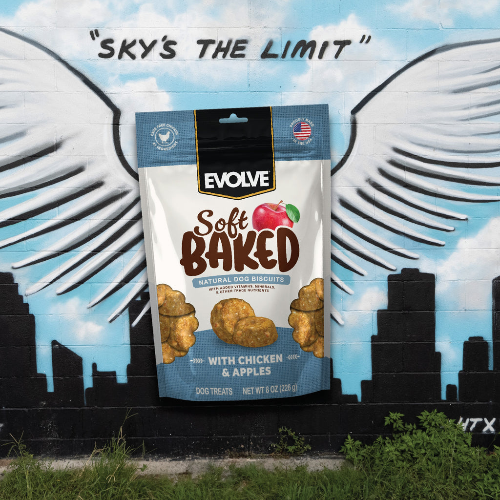 Soft Baked Dog Biscuits with Chicken & Apple | 8 oz | Evolve