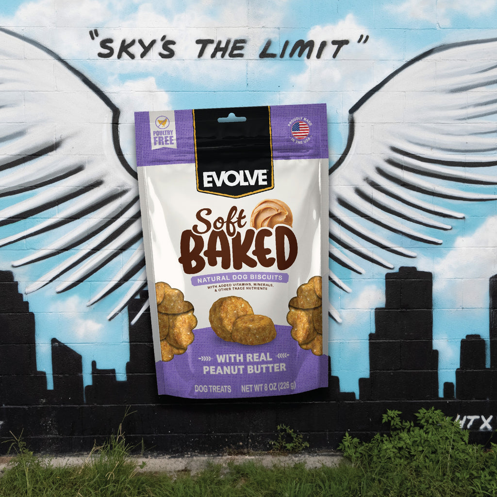 Soft Baked Dog Biscuits with Real Peanut Butter | 8 oz | Evolve