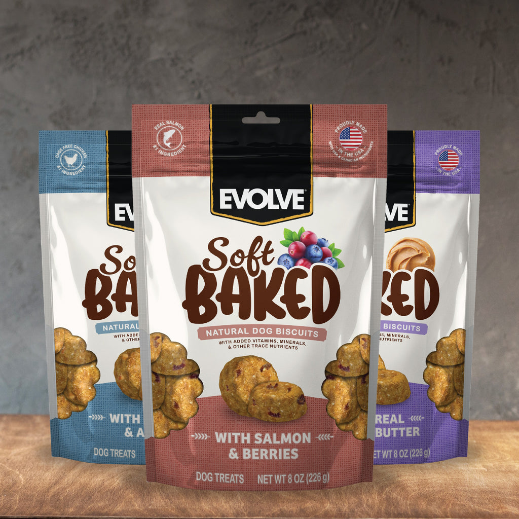 Soft Baked Dog Biscuits with Salmon & Berries | 8 oz | Evolve