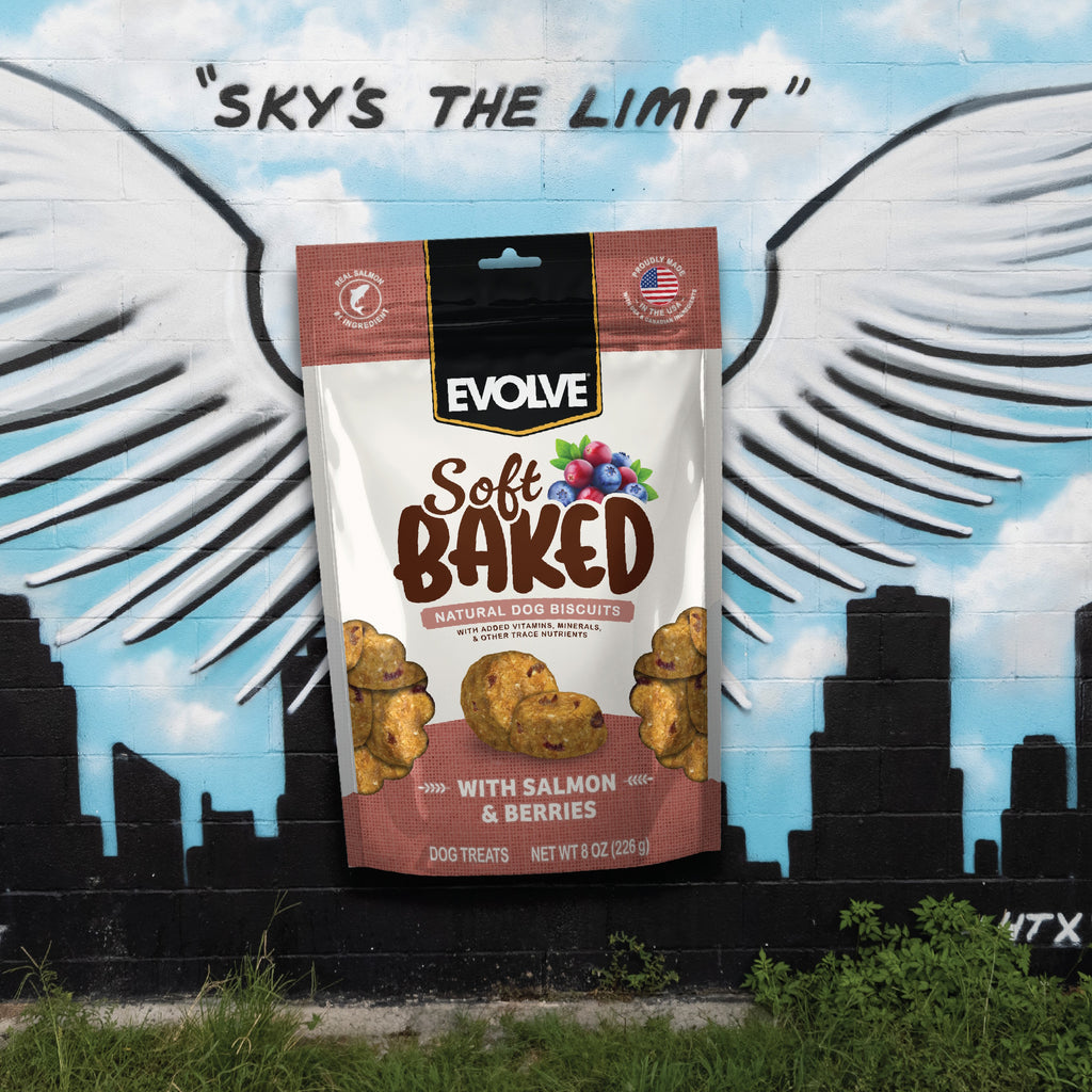 Soft Baked Dog Biscuits with Salmon & Berries | 8 oz | Evolve