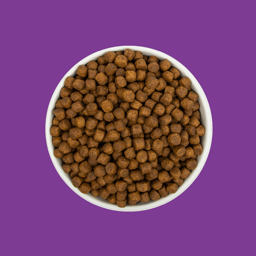 Professional Dog Food | 40 LB | Sportsman's Pride Classic